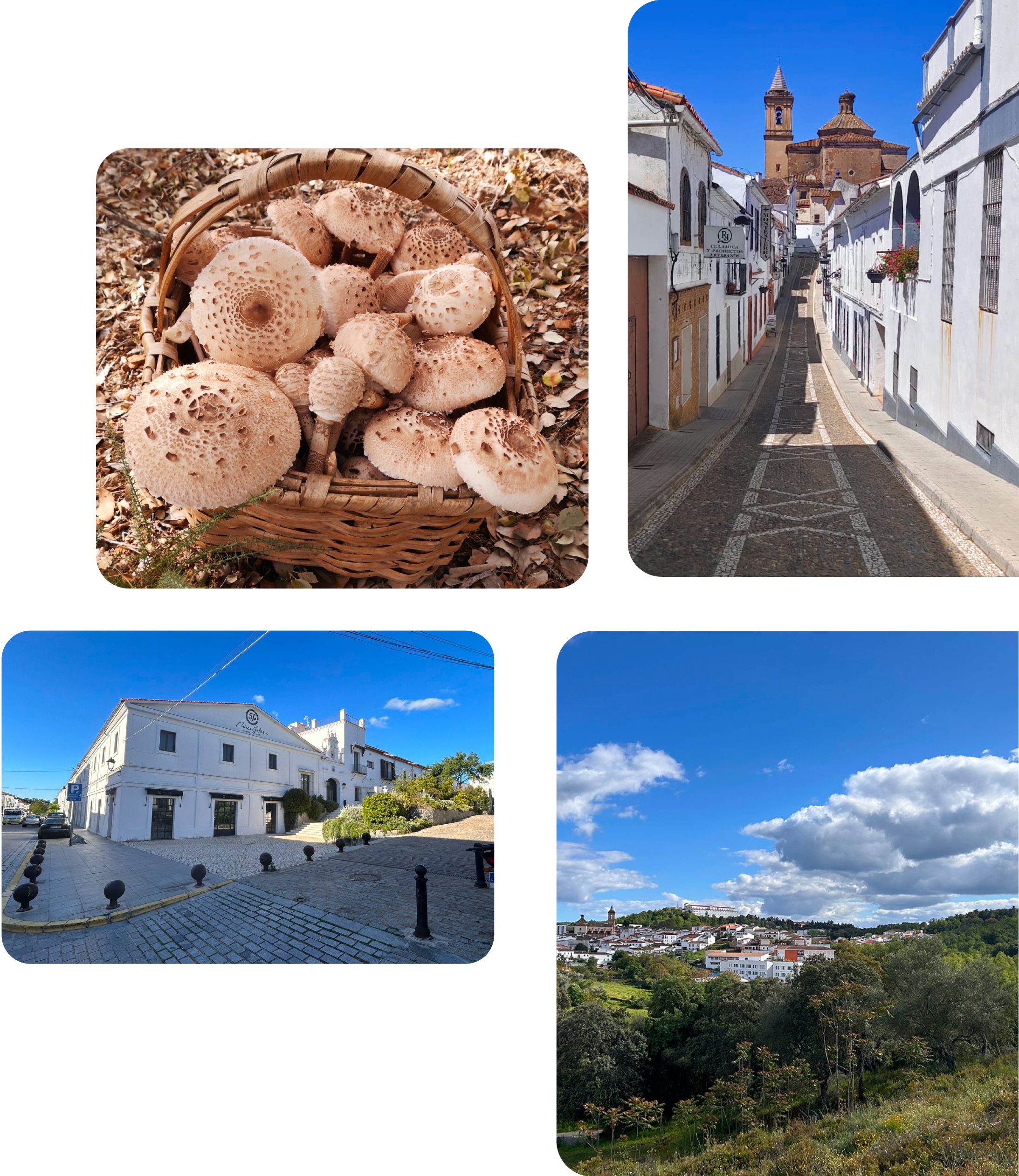 Conoce nuestra historia imágenes